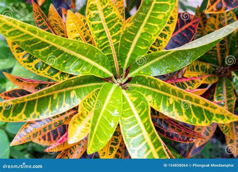 Image result for Embry-Riddle Flight