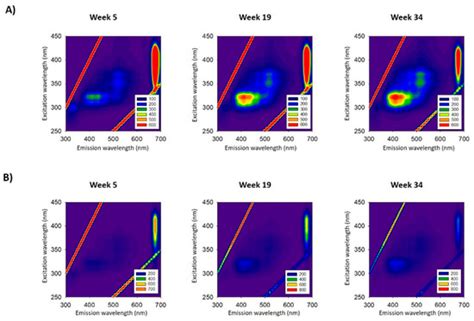 Fluorescence Monitoring Oxidation of Extra Virgin Olive Oil Packed in ...
