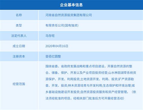 工商注册信息_河南省自然资源投资集团有限公司