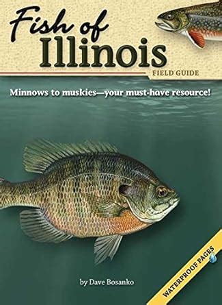 Buy Fish of Illinois Field Guide (Fish Field Guides) Book Online at Low ...