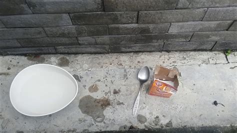 Image result for Neutralize Acids