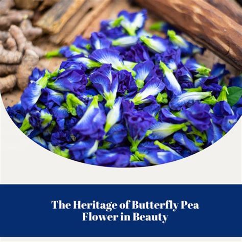 The Mystical Skincare Powers of Butterfly Pea Flower | Clinikally