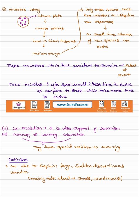 Image result for Class 12 Evolution