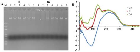 A Novel Ivermectin-Derived Compound D4 and Its Antimicrobial/Biofilm ...