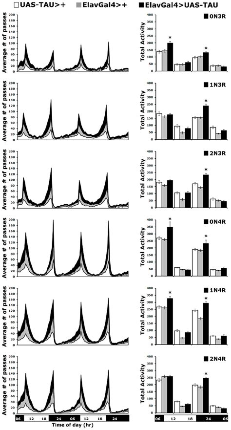 Differential Effects of Human Tau Isoforms to Neuronal Dysfunction and ...