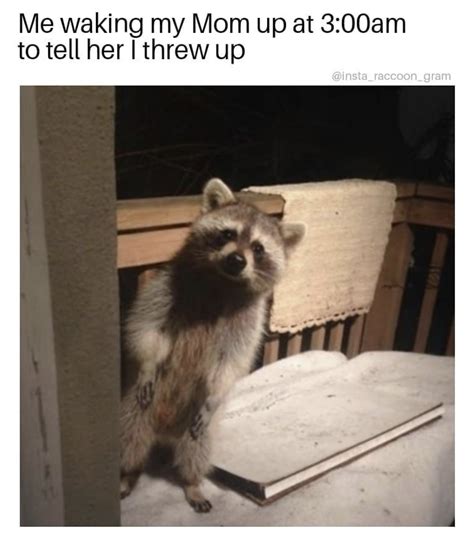 Mom, I Threw Up: Image Gallery | Know Your Meme