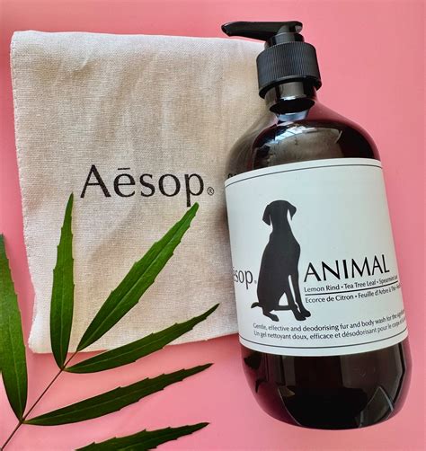 Aesop animal shampoo | PiNCH the DOG . SHOP