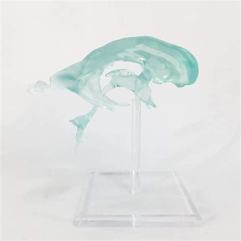 Bzzbzz Brain Anatomical Model Human Brain Artery Lateral Ventricle ...