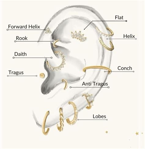 Pin by idil hamurcu on Collage Item Pins in 2025 | Piercings, Ear ...