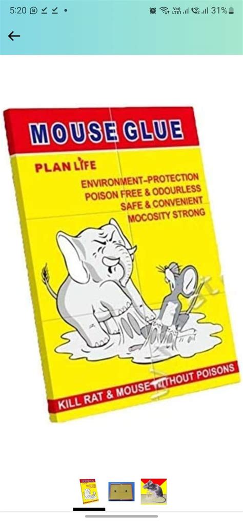 Mouse Glue – Bakeworld Retails Pvt Ltd