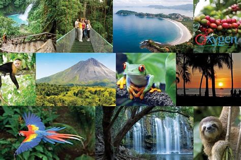 OXYGEN CR TRAVEL (2025) All You Need to Know BEFORE You Go (with Photos ...