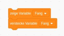 Image result for Scratch Tutorial Variable Zeit