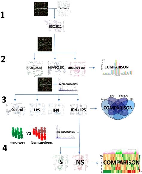 Model Building Data Science 的图像结果