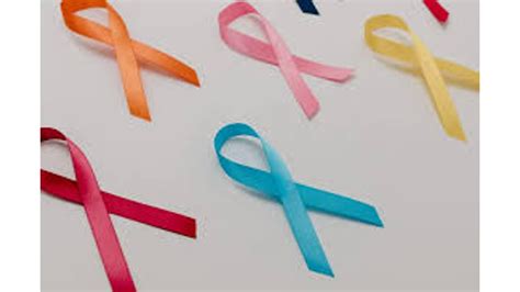 Quilceda Creek’s $250K Mission: Fundraiser for Cancer Immunotherapy