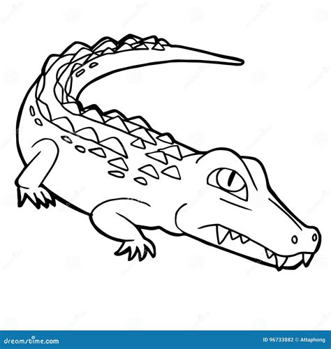 Crocodile Coloring