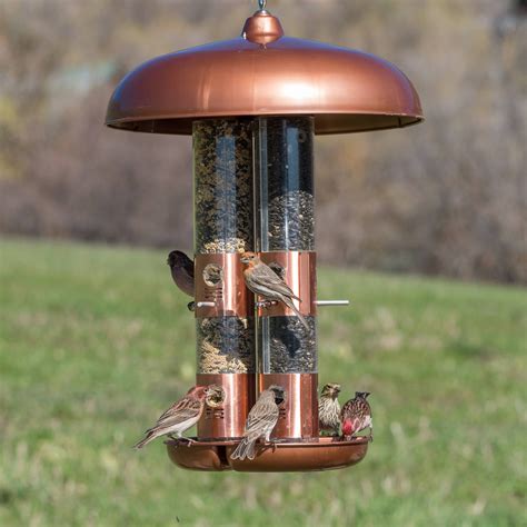 Bird Feeder Mounted On A Pole at Cecil Messer blog