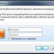 Windows Authentication 的图像结果