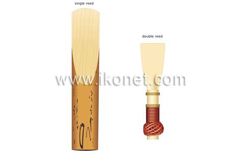 Image result for Reed Musical Instruments