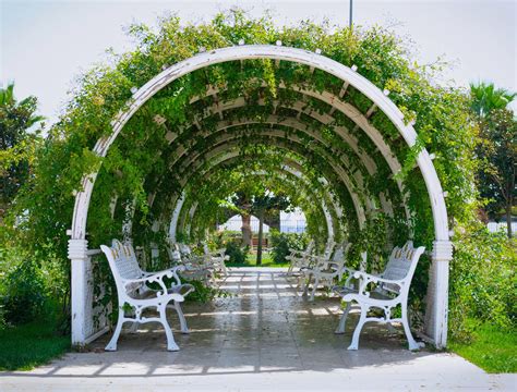5 Creative Ways to Grow a Living Garden Arch