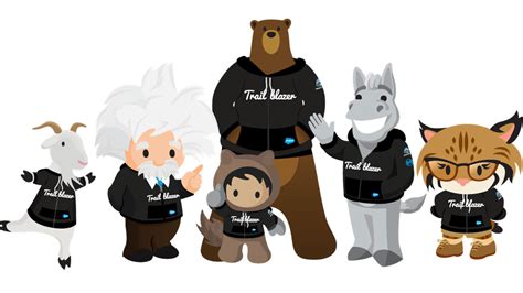 Image result for Salesforce Trailhead Tutorial