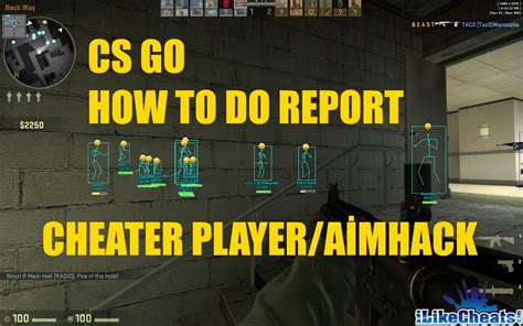 CS GO Report Bot 的图像结果