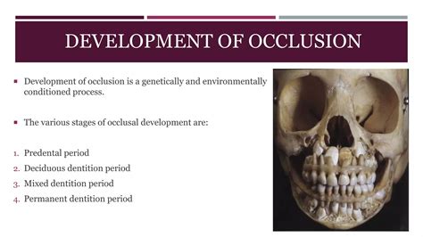Understanding The Four Stages Of Development Of Occlusion