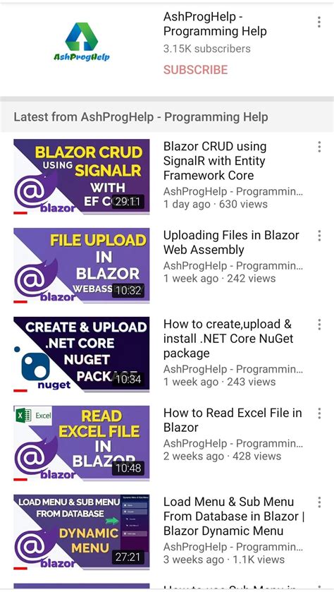 Blazer Tutorial .Net 的图像结果