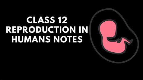 Class 12th Reproduction 的图像结果