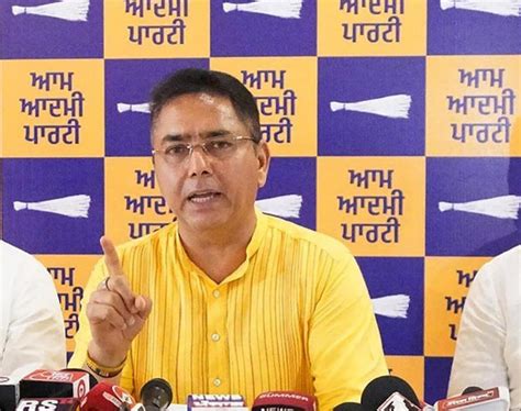Land scam, money laundering case: ED names Punjab AAP chief Aman Arora ...