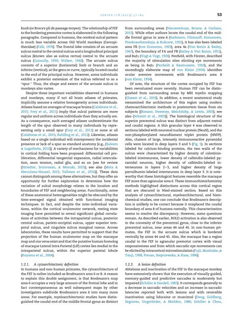 SOLUTION: The comparative anatomy of frontal eye fields in primates ...