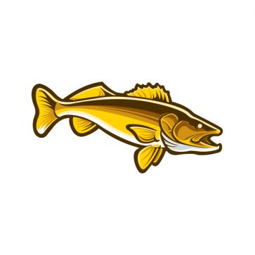 Salmon 06012 | Salmon, Print vinyl stickers, Fishing decals