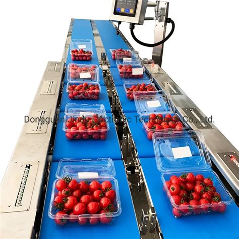 Image result for Small Bag Sorting Machine