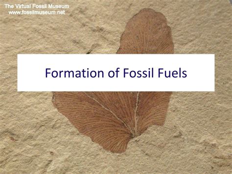PPT - Formation of Fossil Fuels PowerPoint Presentation, free download - ID:4957376