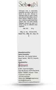 Buy SEBOGEL SALICYLIC ACID & NICOTINAMIDE GEL FOR PIMPLES AND OILY SKIN ...