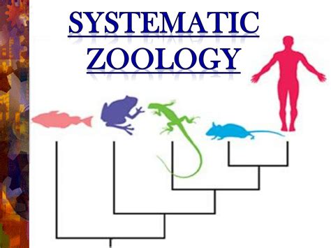 Systematic Review Data Extraction Template Excel - prntbl ...