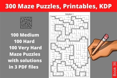 Image result for Labyrinth Puzzles