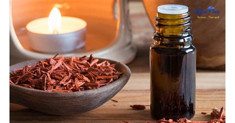 Pure Mysore Sandalwood Oil | Aromatic & Therapeutic – Blue Tree Aroma