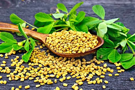 Fenugreek For Hair Growth