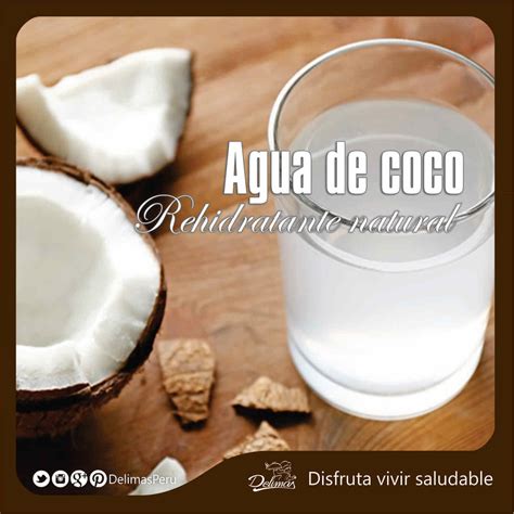Agua de Coco | Beneficios -> Ideal para hidratar el cuerpo - Alimentación Saludable Delimás