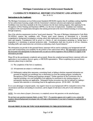 Candidate's Personal History Statement - State Of Michigan - Michigan ...