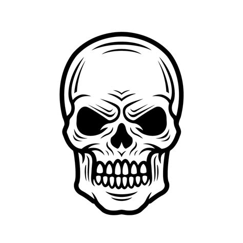 Skull Vector 的图像结果