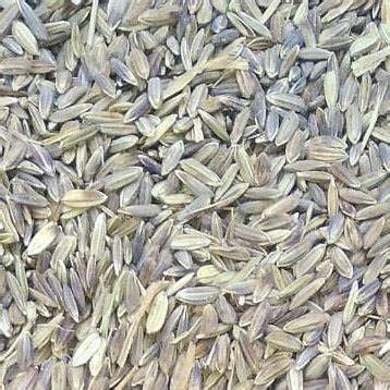 Pink Rice-Manipuri Rice-Chakhao Pink Rice 1 Kg Packs – Vintage Farmers