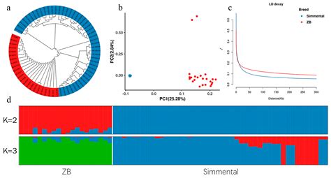 Genome-Wide Analysis of Genetic Diversity and Selection Signatures in ...