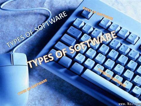 Image result for Software Type