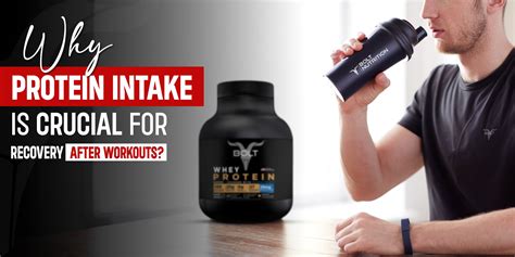 Why Protein Intake is Crucial for Recovery After Workouts