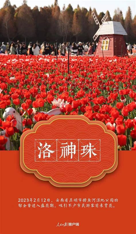 春天里的中国：最美的风景在路上-名城苏州新闻中心