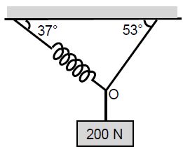 In the setup shown, a 200N block is supported in equilibrium with the ...