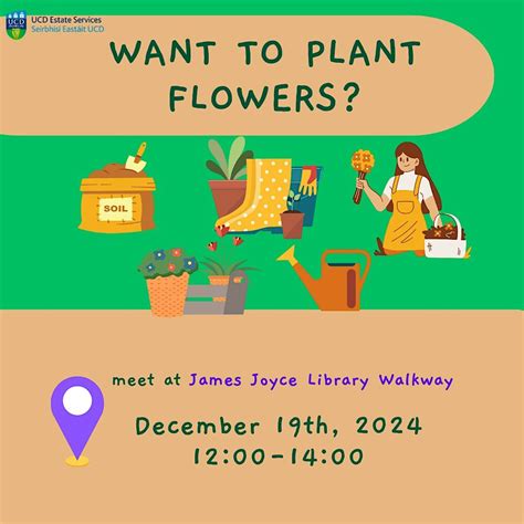 Flower Planting, James Joyce Library UCD, Dublin, 19 December 2024 ...