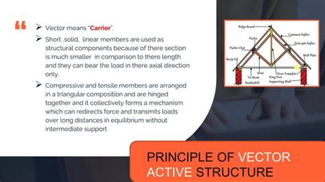 Image result for Vector Structure System