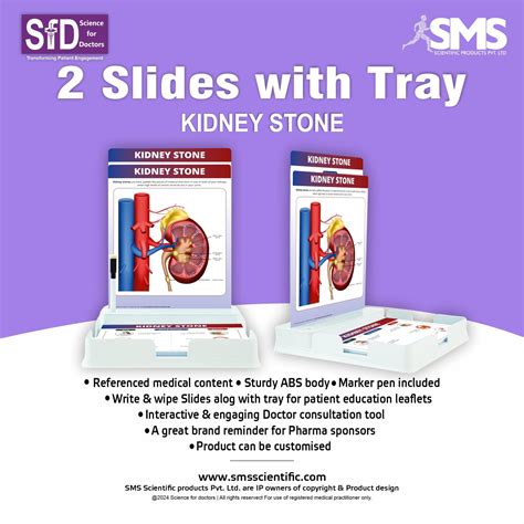 Kidney Stone : 2 Slides Patient Leaflet Tray – SMS Scientific Products ...
